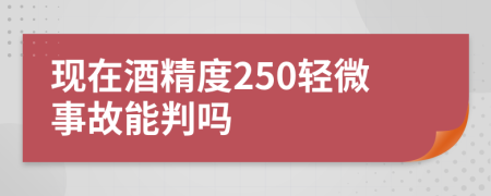 现在酒精度250轻微事故能判吗