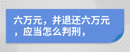 六万元，并退还六万元，应当怎么判刑，