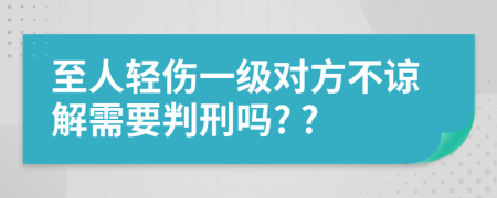 至人轻伤一级对方不谅解需要判刑吗? ?