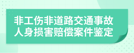 非工伤非道路交通事故人身损害赔偿案件鉴定