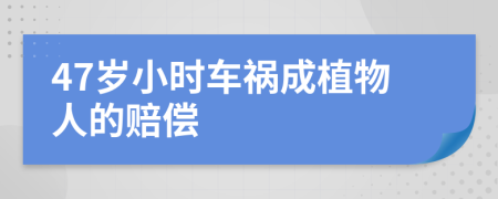 47岁小时车祸成植物人的赔偿