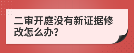 二审开庭没有新证据修改怎么办？