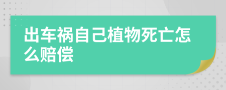 出车祸自己植物死亡怎么赔偿