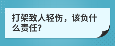 打架致人轻伤，该负什么责任？