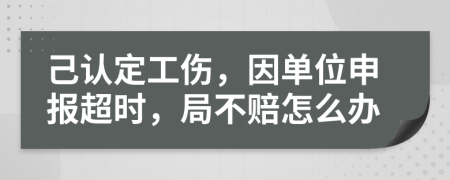 己认定工伤，因单位申报超时，局不赔怎么办