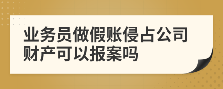 业务员做假账侵占公司财产可以报案吗