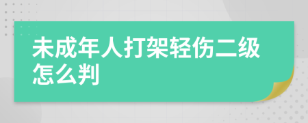 未成年人打架轻伤二级怎么判