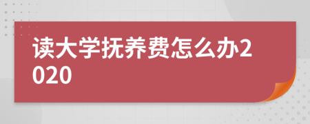 读大学抚养费怎么办2020