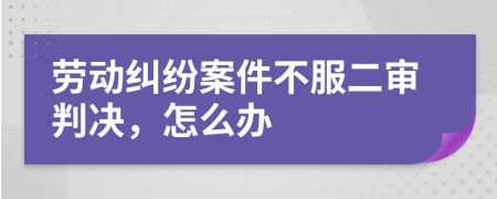 劳动纠纷案件不服二审判决，怎么办