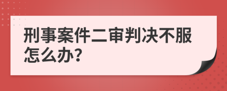 刑事案件二审判决不服怎么办？