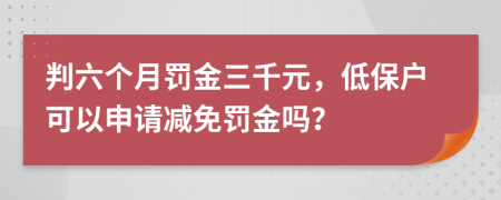 判六个月罚金三千元，低保户可以申请减免罚金吗？