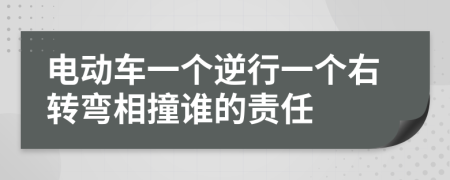 电动车一个逆行一个右转弯相撞谁的责任