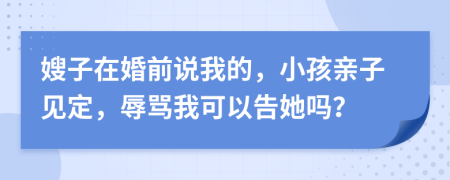 嫂子在婚前说我的，小孩亲子见定，辱骂我可以告她吗？