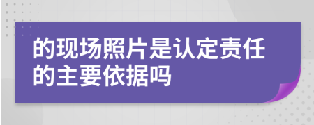 的现场照片是认定责任的主要依据吗