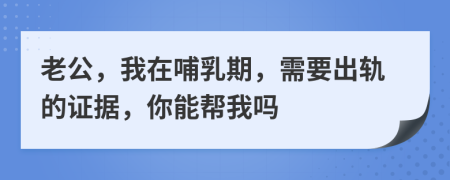 老公，我在哺乳期，需要出轨的证据，你能帮我吗