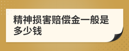 精神损害赔偿金一般是多少钱