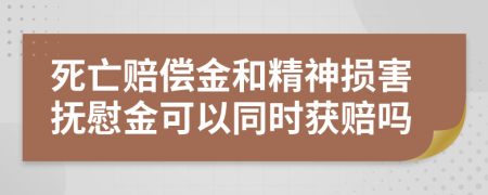 死亡赔偿金和精神损害抚慰金可以同时获赔吗