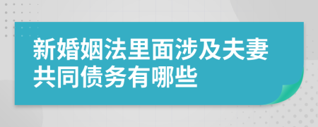 新婚姻法里面涉及夫妻共同债务有哪些