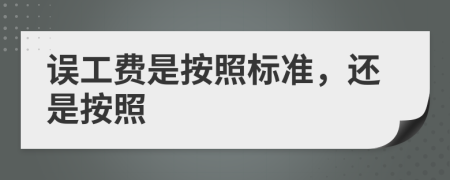 误工费是按照标准，还是按照
