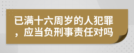 已满十六周岁的人犯罪，应当负刑事责任对吗