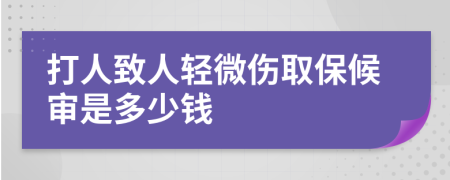 打人致人轻微伤取保候审是多少钱