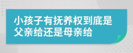 小孩子有抚养权到底是父亲给还是母亲给