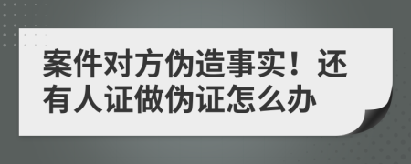 案件对方伪造事实！还有人证做伪证怎么办