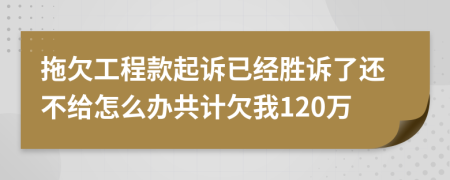 拖欠工程款起诉已经胜诉了还不给怎么办共计欠我120万