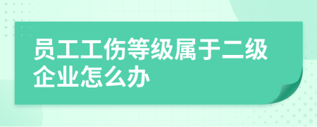 员工工伤等级属于二级企业怎么办