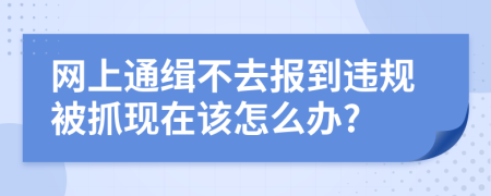 网上通缉不去报到违规被抓现在该怎么办?