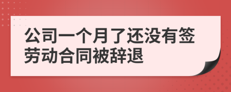 公司一个月了还没有签劳动合同被辞退