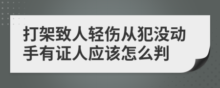 打架致人轻伤从犯没动手有证人应该怎么判