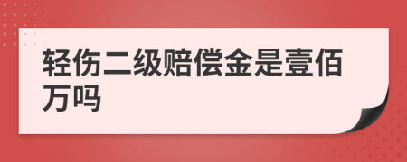 轻伤二级赔偿金是壹佰万吗