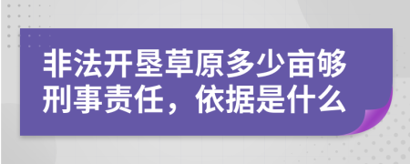 非法开垦草原多少亩够刑事责任，依据是什么