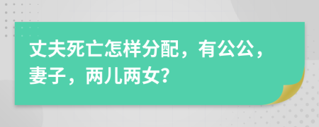 丈夫死亡怎样分配，有公公，妻子，两儿两女？