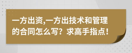 一方出资,一方出技术和管理的合同怎么写？求高手指点！