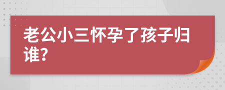 老公小三怀孕了孩子归谁？