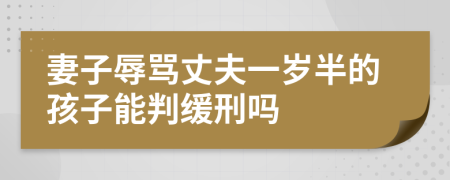 妻子辱骂丈夫一岁半的孩子能判缓刑吗