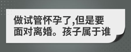 做试管怀孕了,但是要面对离婚。孩子属于谁