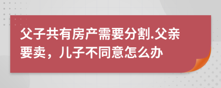 父子共有房产需要分割.父亲要卖，儿子不同意怎么办