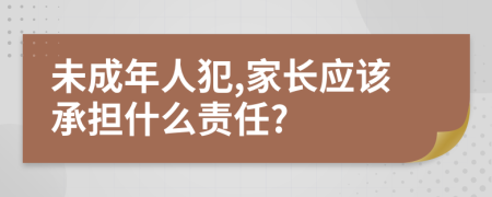 未成年人犯,家长应该承担什么责任?