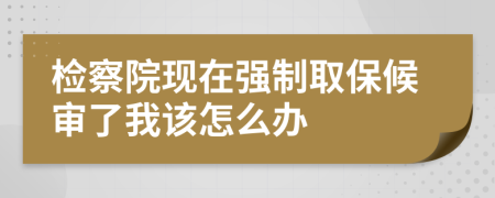 检察院现在强制取保候审了我该怎么办