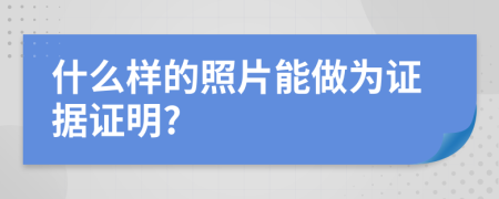 什么样的照片能做为证据证明?