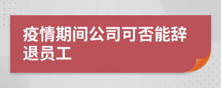 疫情期间公司可否能辞退员工
