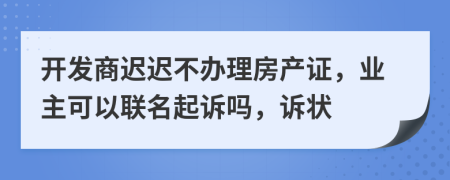 开发商迟迟不办理房产证，业主可以联名起诉吗，诉状