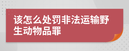 该怎么处罚非法运输野生动物品罪