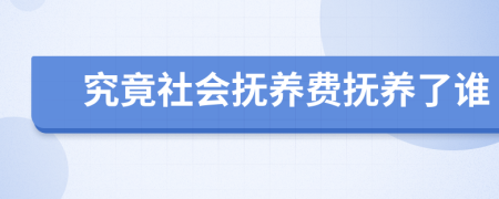 究竟社会抚养费抚养了谁