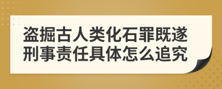 盗掘古人类化石罪既遂刑事责任具体怎么追究