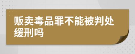 贩卖毒品罪不能被判处缓刑吗