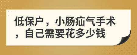 低保户，小肠疝气手术，自己需要花多少钱